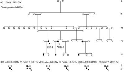 Sodium Channel Myotonia Due to Novel Mutations in Domain I of Nav1.4